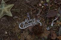 自然中被埋没的星星