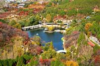 红叶谷的秋色美如画