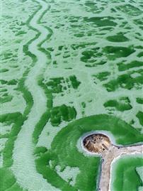 《蜿蜒的道路》