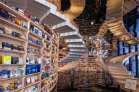 《知识的阶梯》