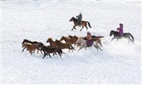 雪地套马