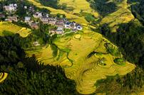 梯田人家