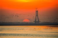 橙霞漫湿地，飞羽舞黄河