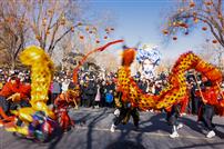 《夏雨荷舞龙》