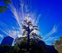 古墙楼宇之光芒