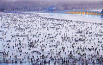 颐和园金光穿洞伴冰趣