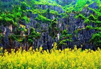 石林春色惹人醉