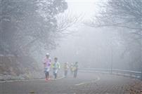 雪蒙中的冬日活力