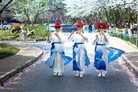 《新城樱花烂漫时》