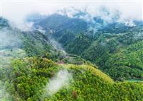 《白云深处》》