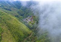 《白云深处山涧鸣》