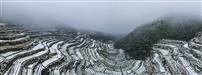 《梯田春雪》