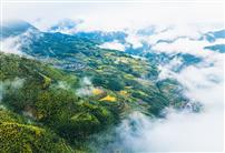 《南尖岩秋韵》