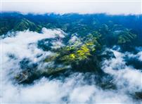 《云绕山田似画屏》