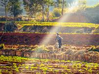 鲜衣怒马，此间少年