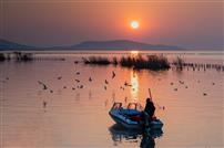 护太湖一湾水,迎群鸥共黄昏
