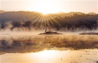 晨雾轻笼奇墅湖，树影孤悬水镜图