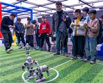 机巧对抗乐无穷，游戏场上智慧生