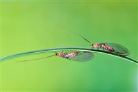 红影流翠，生态如画