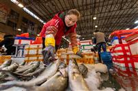 渔市生香，市井情长