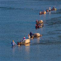 滩涂晨曲・赶海人的生计诗