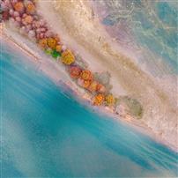 彩林映水，生态织锦