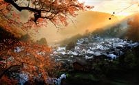 秋山古村沐晨光