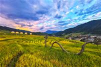 龙卧梯田映彩穹