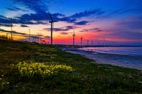 风轮伴海绘东山