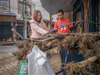 三轮载蔗话乡音