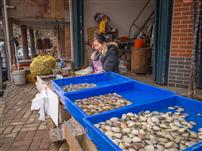 一摊一贝皆日常