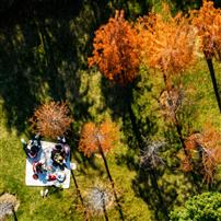 秋日野餐：一家人的慢时光