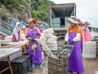 滩头洗鲍绘丰年