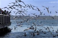 《冬日蠡湖的约定》