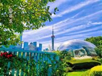 浦江畔的镜面奇遇