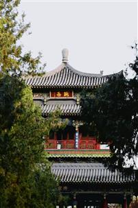 隐匿在城市中的一角