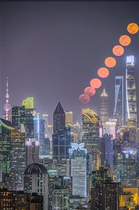 夜上海的月之舞