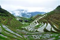 龙脊梯田