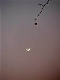 月如钩