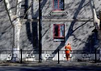 墙影里的一抹橙