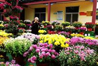 耄耋老人享晚年