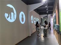 被照亮的好奇心