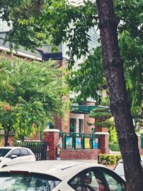 树枝里的慢时光