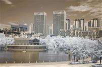 安康生态文化公园