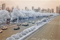 梦幻秀美的安康