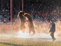 双雄腾空争胜负