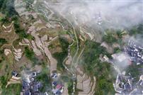 上坦云绕，梯田人家