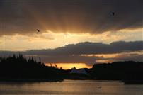 黄昏时分的大宁公园