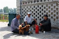 农民的早茶时间