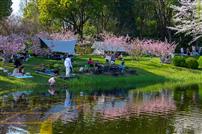 繁花盛开露营季